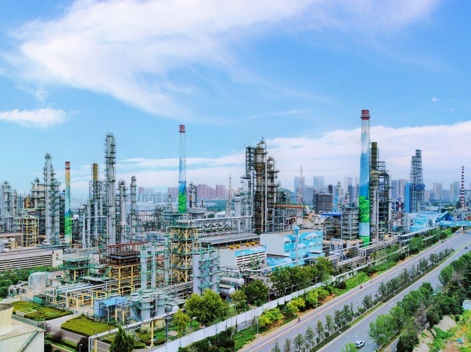 Plant aerial view